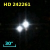 HD 242261