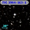 TYC 3984-163-1