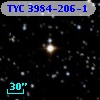 TYC 3984-206-1