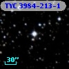 TYC 3984-213-1