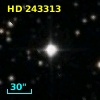 HD 243313
