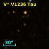 V* V1236 Tau