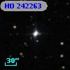 HD 242263