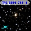 TYC 3984-787-1