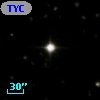 TYC 1847-1013-1