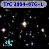 TYC 3984-876-1