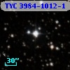 TYC 3984-1012-1