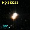 HD 243252