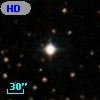HD 243333