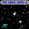 TYC 3984-1078-1