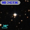 HD 242736
