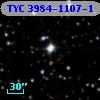 TYC 3984-1107-1