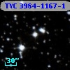 TYC 3984-1167-1