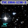 TYC 3984-1236-1