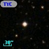 TYC 1295-137-1
