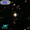 TYC 1295-181-1