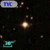 TYC 1295-242-1