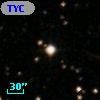 TYC 1295-319-1