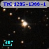 TYC 1295-1388-1