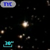 TYC 1304-1100-1