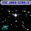 TYC 3984-1288-1
