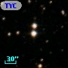TYC 1304-1446-1