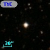 TYC 1308-495-1