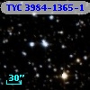 TYC 3984-1365-1