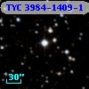 TYC 3984-1409-1