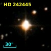 HD 242445