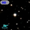 HD 243014