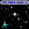 TYC 3984-1501-1