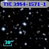 TYC 3984-1571-1