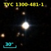 TYC 1300-481-1