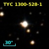 TYC 1300-528-1