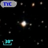 TYC 1300-931-1