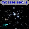 TYC 3984-1602-1