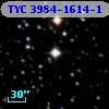 TYC 3984-1614-1