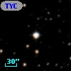 TYC 1300-2203-1