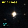 HD 242036