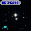 HD 242396