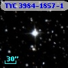 TYC 3984-1857-1