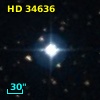 HD  34636
