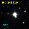 HD 243210
