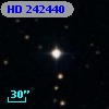 HD 242440