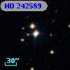 HD 242589