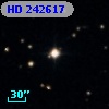 HD 242617