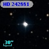 HD 242881