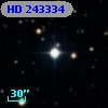 HD 243334