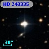 HD 243335